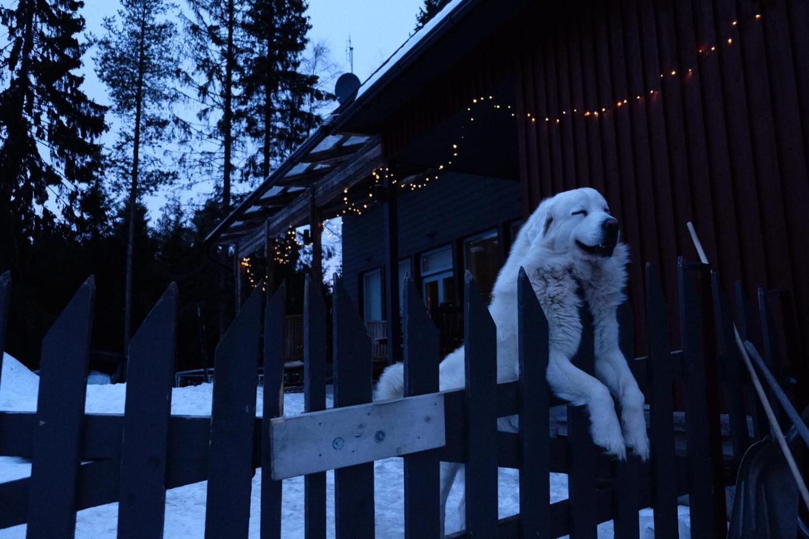 Laplandbike Apartment Arctic Circle Рованиеми Экстерьер фото